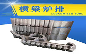 橫梁/鏈條爐排系列